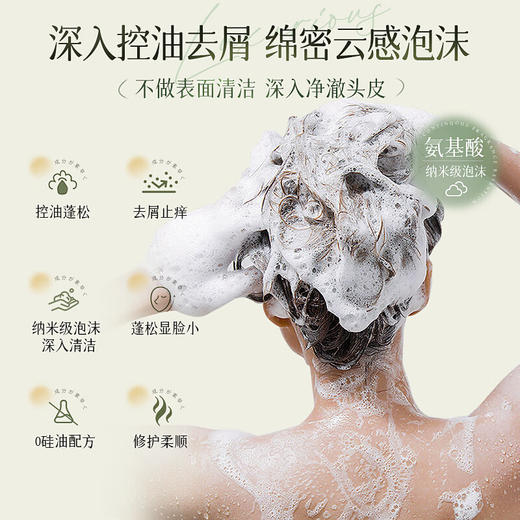 维特丝 植萃香氛洗发水500ml（春雪白茶）*2瓶 商品图5