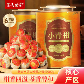 新会小青柑普洱熟茶6年陈正宗陈皮柑普茶500g配礼袋 CM