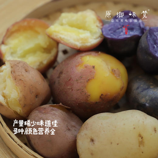 生态多色高原土豆（基地直发-韵达包邮） | 多种规格，来自云南香格里拉，生产者：李忠青【合作生产，公平贸易】 商品图2