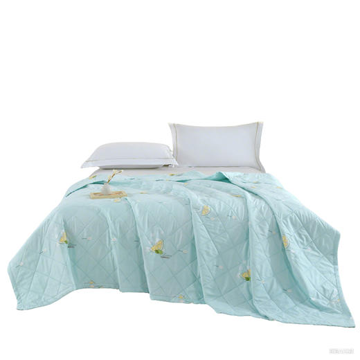 凤凰家纺 凤凰尚品凉感冰柔被150x200cm/700g FHJF-BZ2601 商品图0