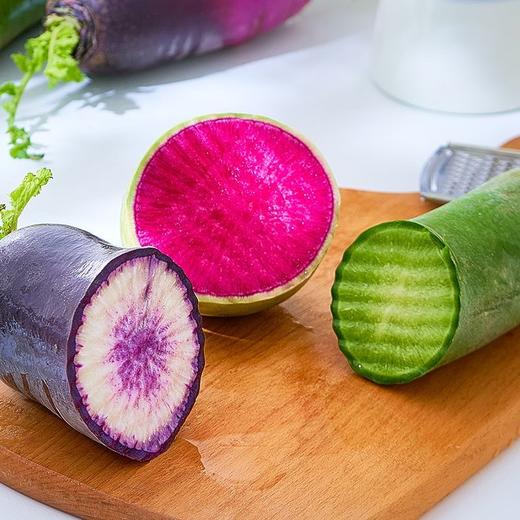 寿光  四色萝卜 商品图4