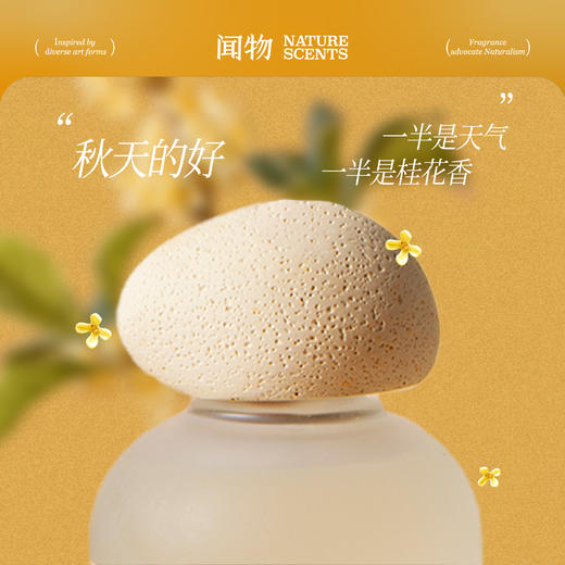 【自然印迹】闻物八月桂花无火香氛还原花园场景植物精油扩香礼物 商品图3