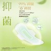 花王 乐而雅零触感抑菌清芯夜用卫生巾300mm*12p 商品缩略图1