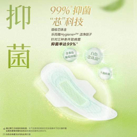 花王 乐而雅零触感抑菌清芯夜用卫生巾300mm*12p 商品图1
