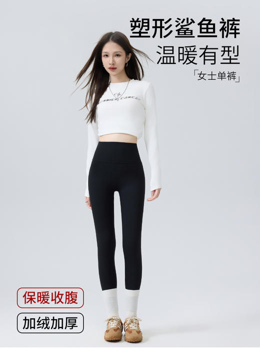 塑形保暖鲨鱼裤（400克） 商品图0