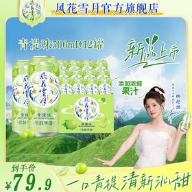 风花雪月青提味低醇啤酒500ml*12罐