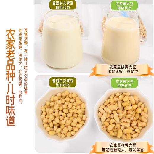 人民 农家黄大豆420g 商品图2