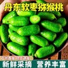 【丹东软枣猕猴桃】新鲜采摘 外表圆润选软的 吸着吃 口感香甜 商品缩略图0