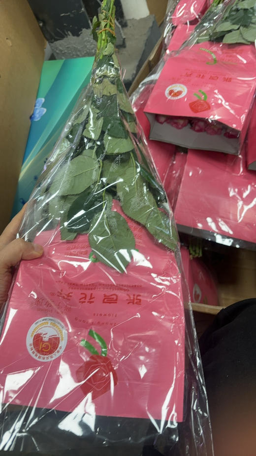 张良爱沙 商品图2