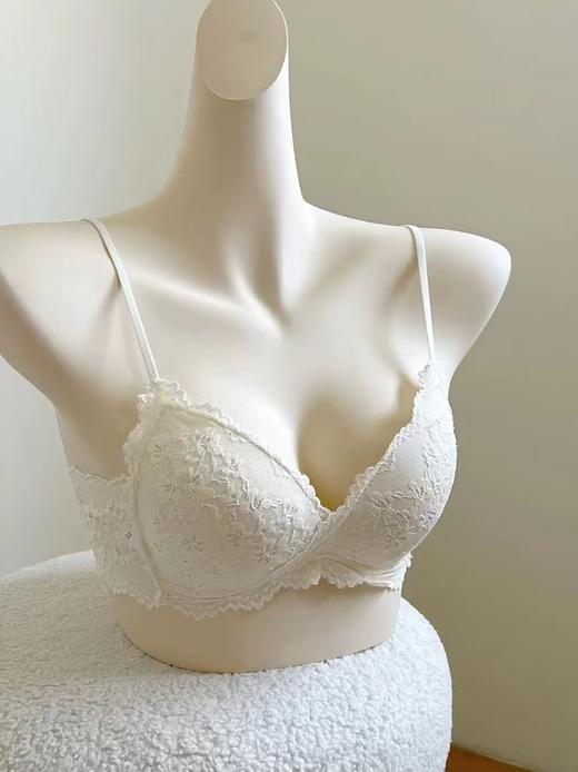 【GZ】无忧购全蕾丝三角杯内衣轻奢高级感文胸（截单后3-5天发货) 商品图0