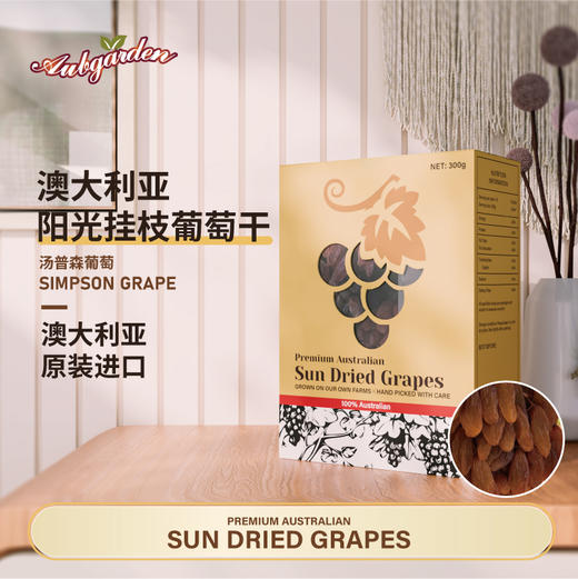 澳洲阿贝花园树挂白葡萄干礼盒装300g【Z】 商品图0