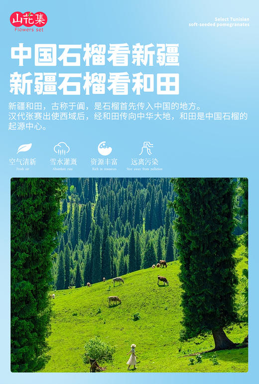 新疆特产山花集石榴汁 果汁丰盈 商品图3