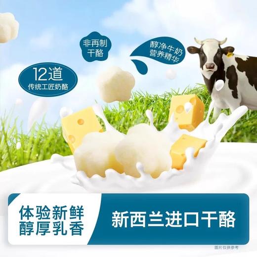 禾泱泱奶酪类合集 商品图3