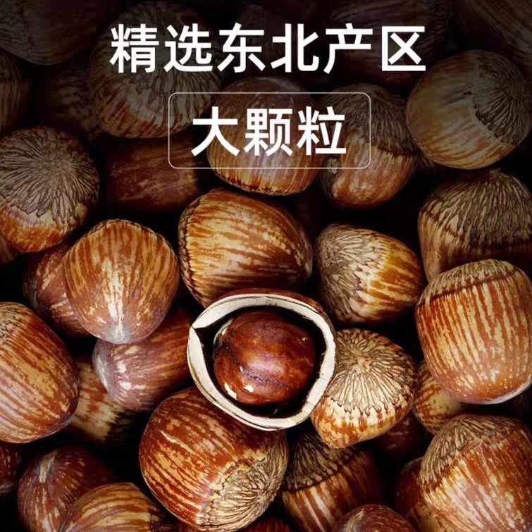 山苑手拍榛子送夹子新货东北特产虎皮大榛子原味达维榛子炒熟即食500g