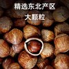 山苑手拍榛子送夹子新货东北特产虎皮大榛子原味达维榛子炒熟即食500g 商品缩略图0