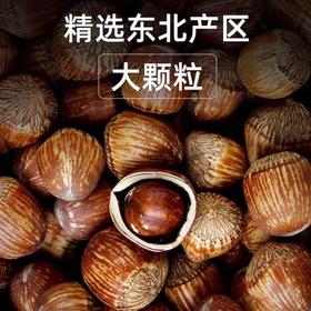 山苑手拍榛子送夹子新货东北特产虎皮大榛子原味达维榛子炒熟即食500g