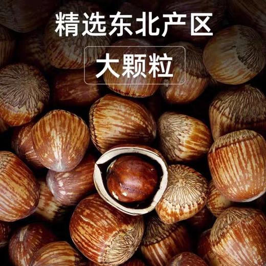 山苑手拍榛子送夹子新货东北特产虎皮大榛子原味达维榛子炒熟即食500g 商品图0