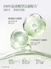 【新品洁面】佰草集清调净浊衡润洁面乳120G 氨基酸洗面奶舒缓控油紧致洁面乳 敏感肌可用 商品缩略图4