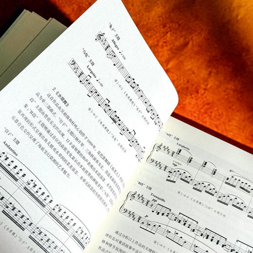 教学内容结构化探索 中小学音乐小微单元教材教法分析案例集 席恒 商品图11