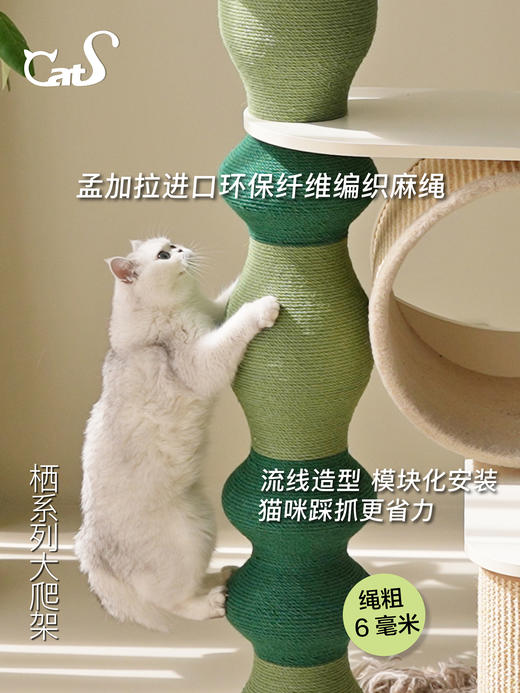 栖系列 超大型实木猫爬架猫抓柱猫钻桶彩色麻绳款 商品图1