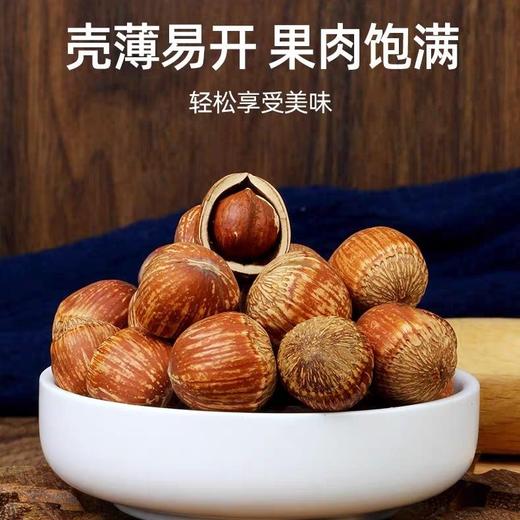 山苑手拍榛子送夹子新货东北特产虎皮大榛子原味达维榛子炒熟即食500g 商品图2