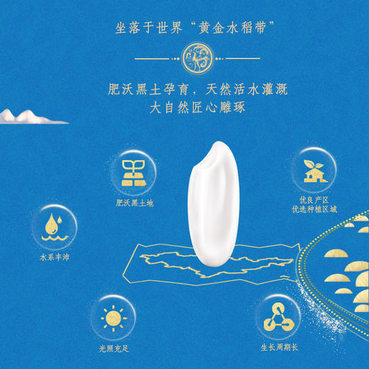 金龙鱼乳玉皇妃玲珑稻香贡米2.5kg*2-YS 商品图3