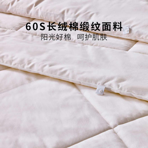 【会员礼】多喜爱 云棉大豆拉链款子母被-纤柔 【全棉面料】【60S缎纹】【大豆纤维】【拉链设计】提花工艺 精美烫钻 分区绗缝 不跑绵 蓬松保暖  加厚填充 商品图3