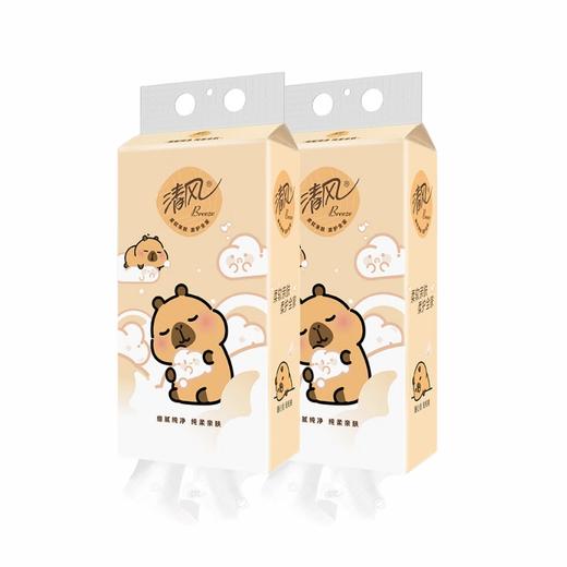 清风 纯柔亲肤悬挂式抽纸4层250抽*2提(款式随机) B-CR250C2T 商品图0