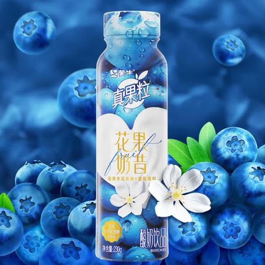 蒙牛真果粒花果奶昔（蓝莓味）230g/瓶 商品图5