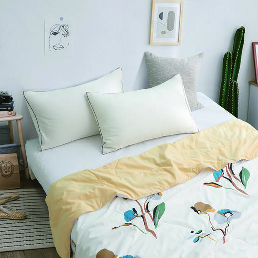 洁丽雅 印花抗菌被-朝花惜拾 CP1219 商品图3