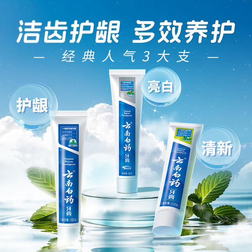 云南白药 人气牙膏套装3支装 (留兰180g+薄荷清爽210g+冬青165g) 101009171 商品图4