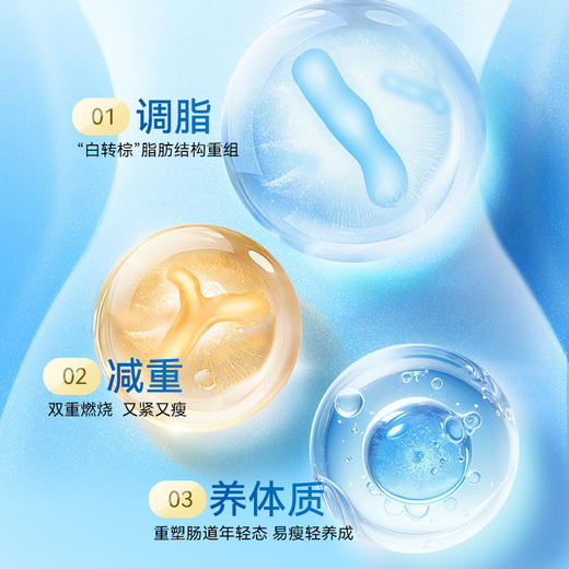 TimeShop肠倍轻胶囊AKK 1瓶装/3瓶装  （60粒/瓶）调理肠胃 商品图5