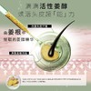 施华蔻 生姜精华修护头皮净澈润发乳600ml SHK945673 商品缩略图3