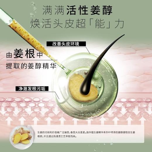 施华蔻 生姜精华修护头皮净澈润发乳600ml SHK945673 商品图3