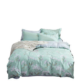 啄木鸟 锦绣花期 纯棉四件套200*230cm ZMN-CM-02