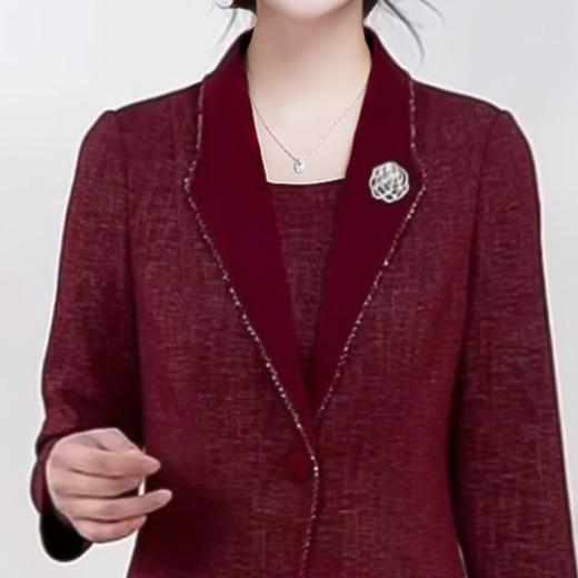 QYM 99H253-Y连衣裙妈妈装假两件时尚拼结中长款礼服裙 商品图3