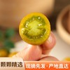 寿光    糖珀琥小番茄 商品缩略图5