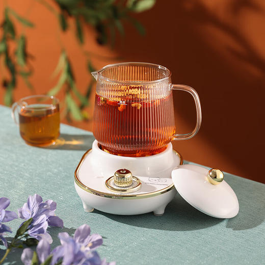 厨创妈咪 0.6L养生杯 YSB-003 商品图4