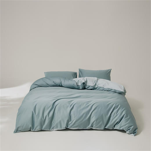 顶柔 100s黄金长绒棉床品三/四套件-TJ1360 商品图11