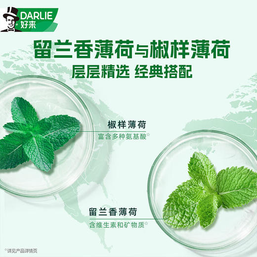 好来 双重薄荷牙膏90g*1支 CR-90SCB01 商品图2