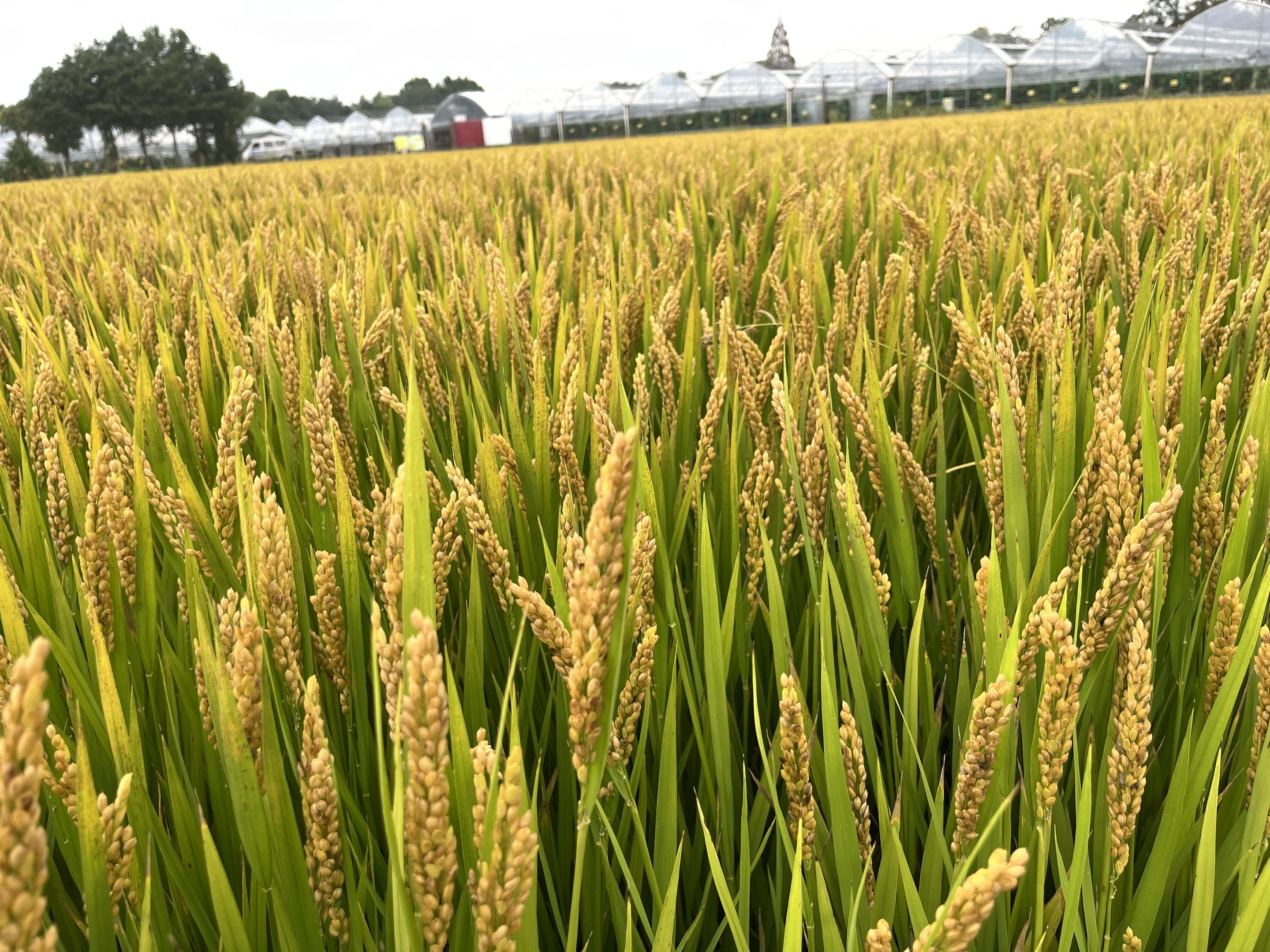 WeCycle大宁久光｜ 绍兴长途骑旅 | 10月21-22日