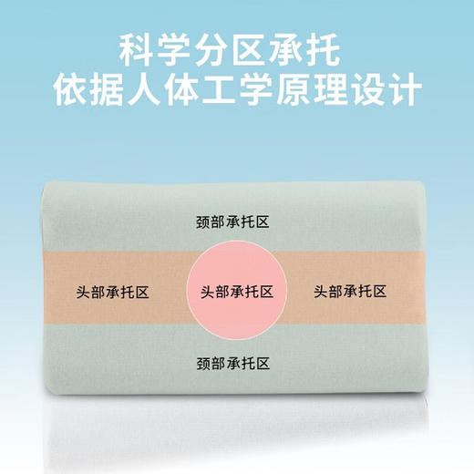 严选 | 诺伊曼软硬可调节尊享版记忆枕 高度软硬可调 分区承托 枕芯可拆卸 S7888 商品图3
