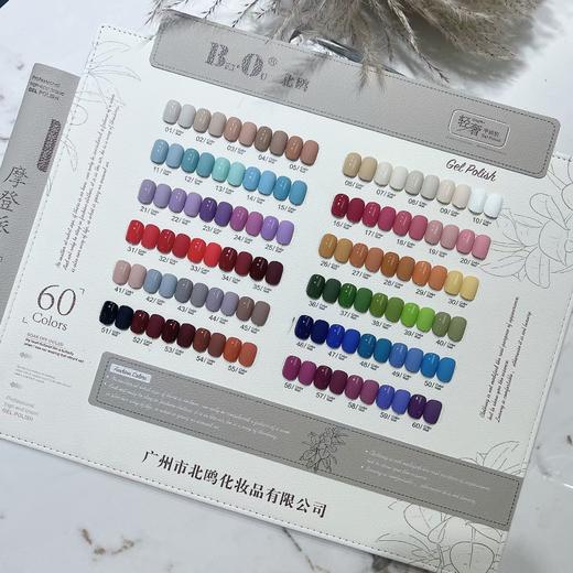 北鸥摩登派60色套装  北鸥梦幻.色彩薄沙60色套装 两款可选 商品图1