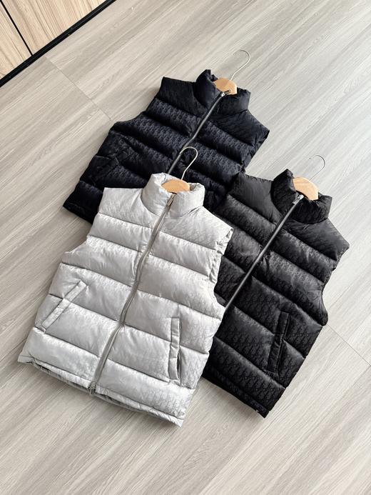 迪奥 最新经典款Oblique 印花款羽绒马甲(SS) 商品图0