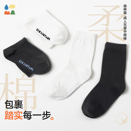 【男女成人款中筒袜】森林棠61062002男女成人百搭棉柔无骨中筒袜高弹力百搭纯色简约长袜子2双装   1128开团 商品图0