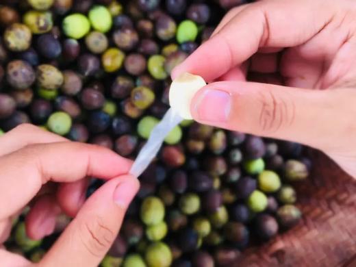 生态通芯白莲/莲子（建莲）300g 产地：福建 商品图1