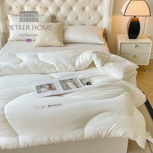 【英国百年品牌】欧特家·OETKER七星级酒店 德绒深睡被 金标德绒
0.9DTEX热聚科技纤柔被 商品图5