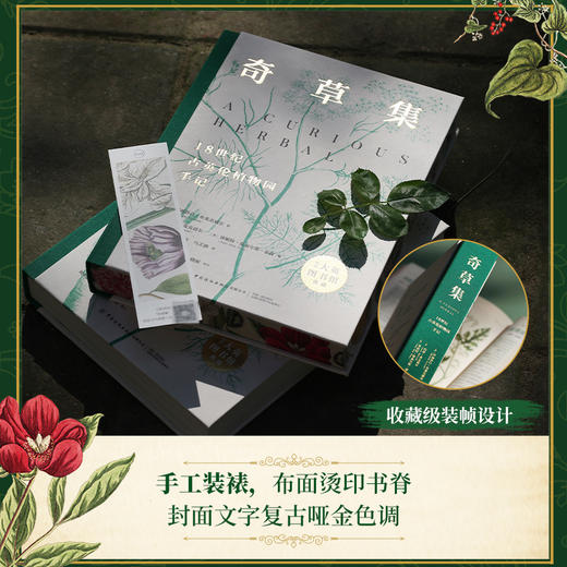 奇草集：18世纪古英伦植物园手记【中国纺织出版社】 商品图2