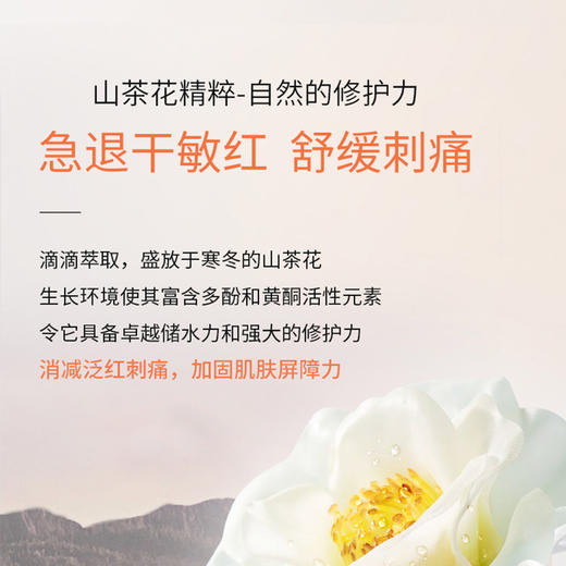 LUCENBASE透真 山茶花沁润舒缓保湿面膜25ml*10片 6975019351600 商品图3