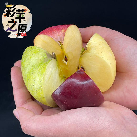 【高原彩色苹果礼盒】彩苹之愿 ～  来自彩云之南的甜蜜祝福 商品图0